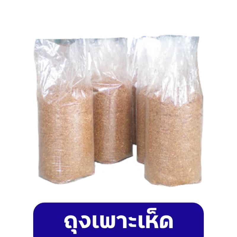 ถุงเพาะเห็ด